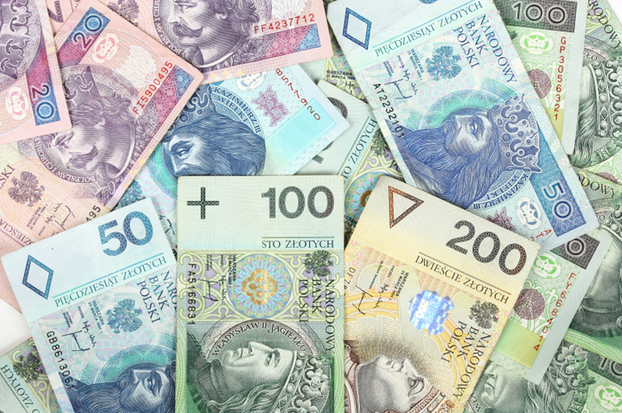Минимальная пенсия в Польше составляет около 260 долл. (3 120 грн.)
