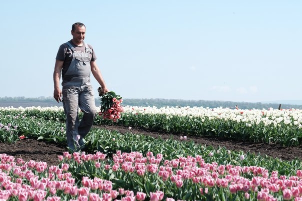 В Украине появилась маленькая Голландия (ФОТО)