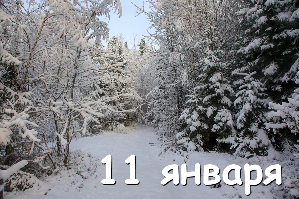 Цей день в історії 11 січня