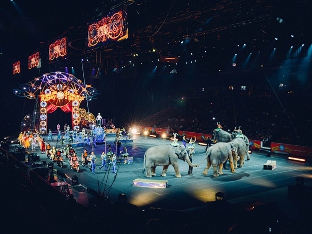 В Великобритании собираются закрыть цирки и зоопарки