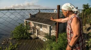 затопленные дома