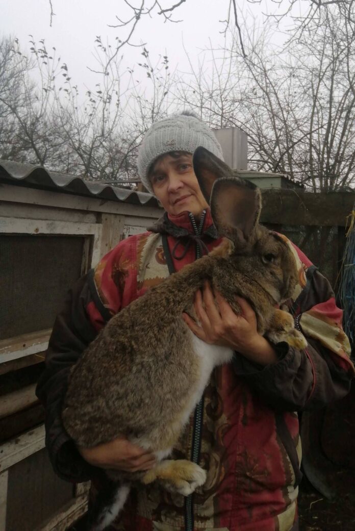 Инна Шевченко и кролик