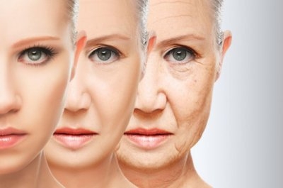 Ученые выяснили, как остановить старение кожи