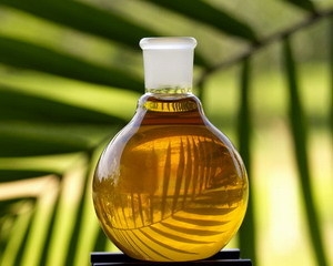 К каким последствиям приведет запрет на использование пальмового масла?