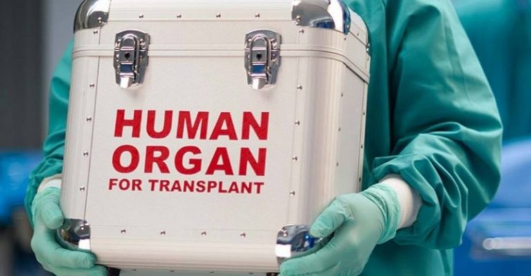 В Украине утвердили стоимость трансплантации органов