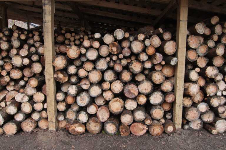 Где и как заказать дрова от государства?