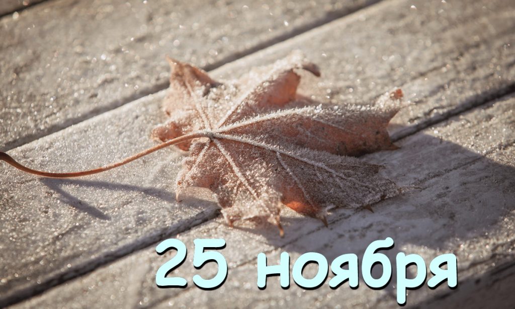 25 ноября