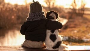 Животные и мы