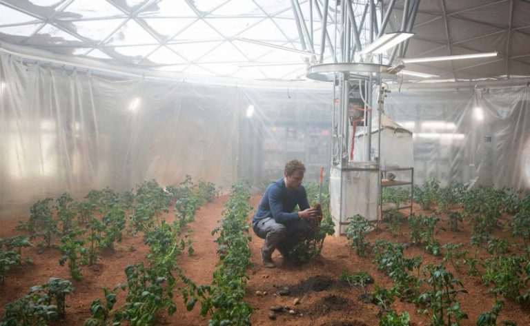 На Земле вырастят «марсианскую» картошку