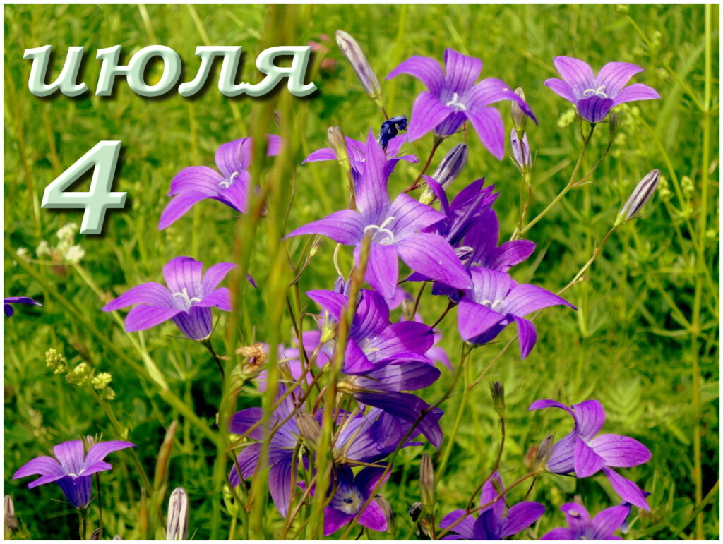 4 июля праздники