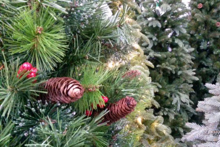 В Киеве можно сдать новогоднюю елку на утилизацию (адреса)