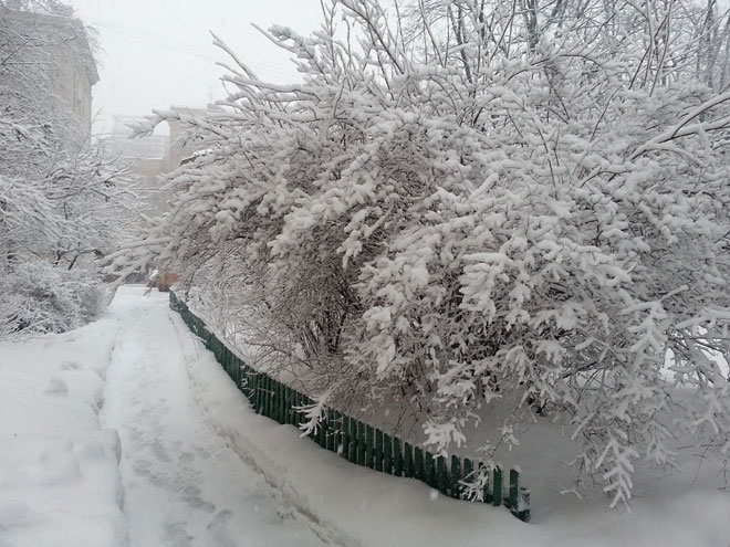 В некоторых регионах Украины — налипание мокрого снега