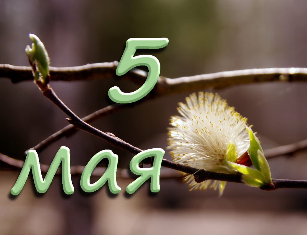 5 мая праздники