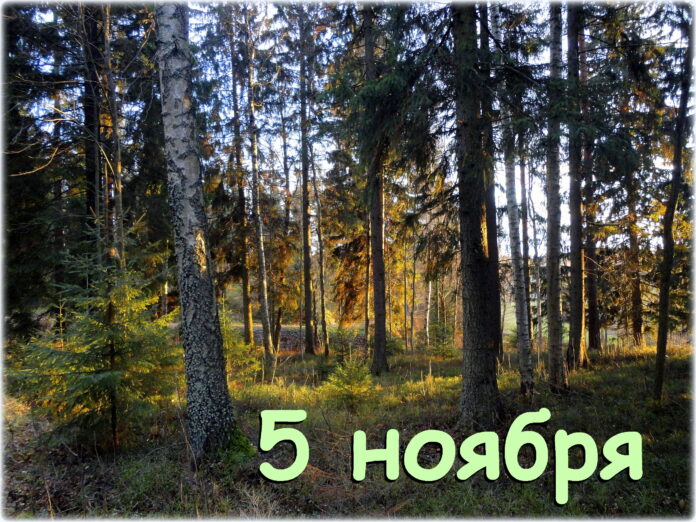 5 ноября праздники