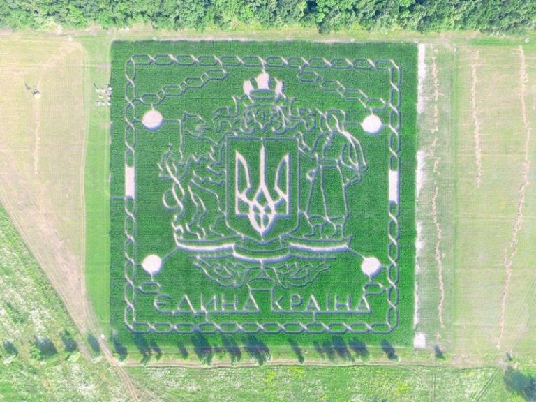 В Украине открыли уникальный лабиринт на кукурузном поле