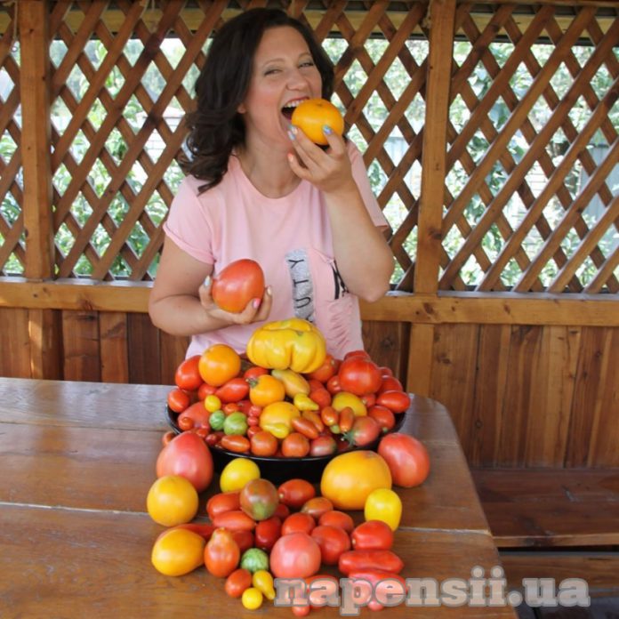 Овощевод из Тернопольской области рассказала о самых урожайных сортах томата