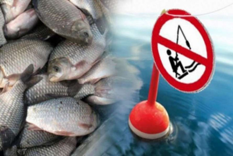 На Харьковщине вводится запрет на рыбалку