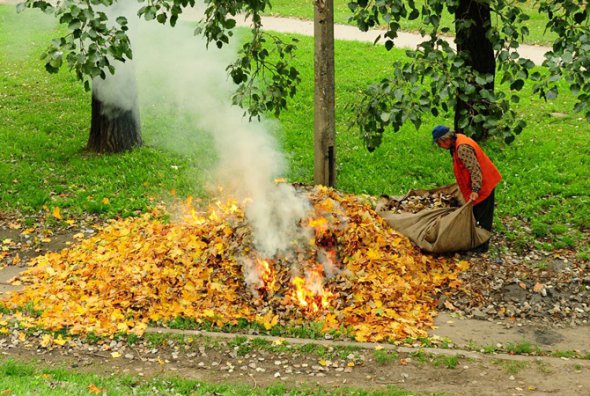Сжигаем листья