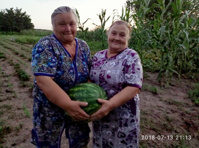 Овощевод из Одесской области рассказала о самых крупных и урожайных сортах арбуза