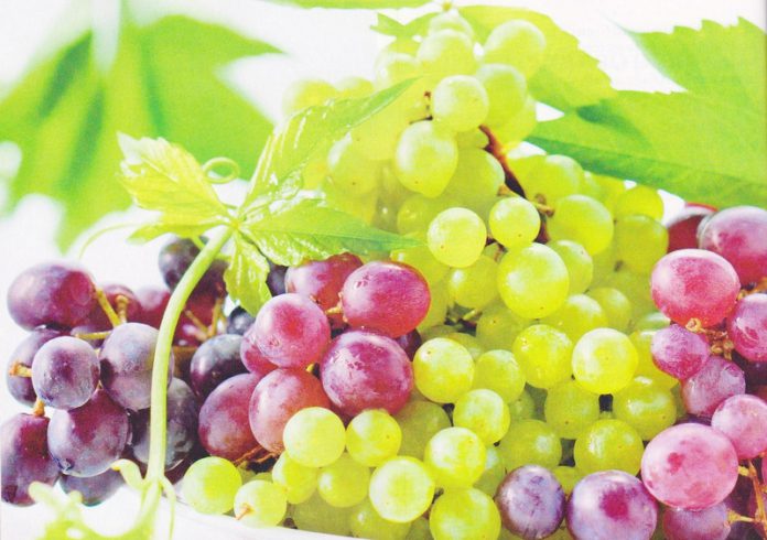 Как определить зрелость винограда