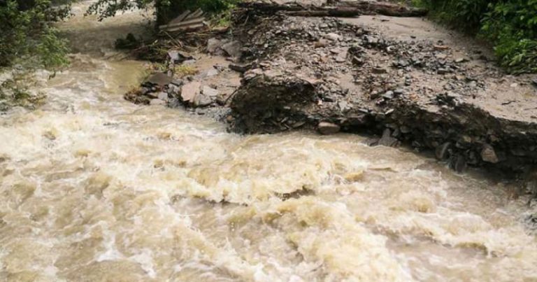 Из-за проливных дождей аграрии Прикарпатья несут большие убытки