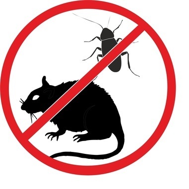 Химия против мышей и тараканов