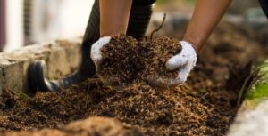 Органические удобрения