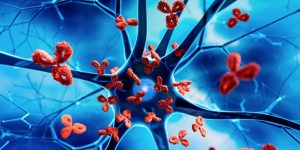 Анализ крови на антинуклеарные антитела