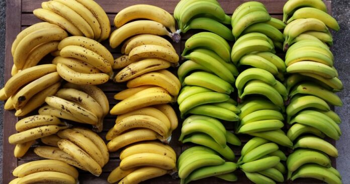 бананы желтые и зеленые