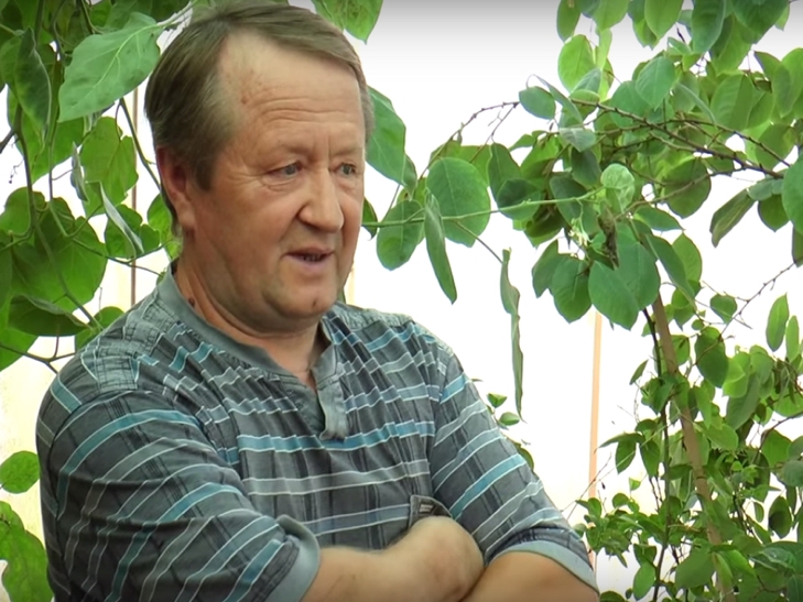 Житель Хмельницкого выращивает бананы и ананасы (ФОТО)