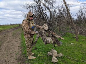 Без вести пропавшие