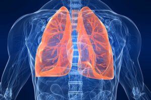 бронхоскопия бесплатно