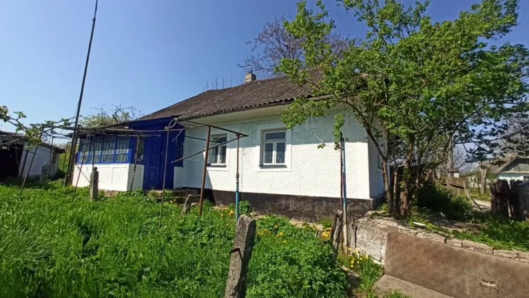 дом в селе