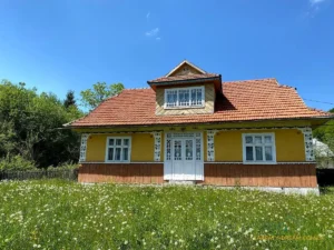 Будинок в селі