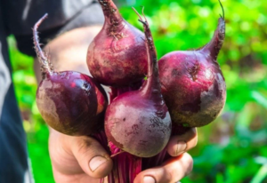 буряк Пабло