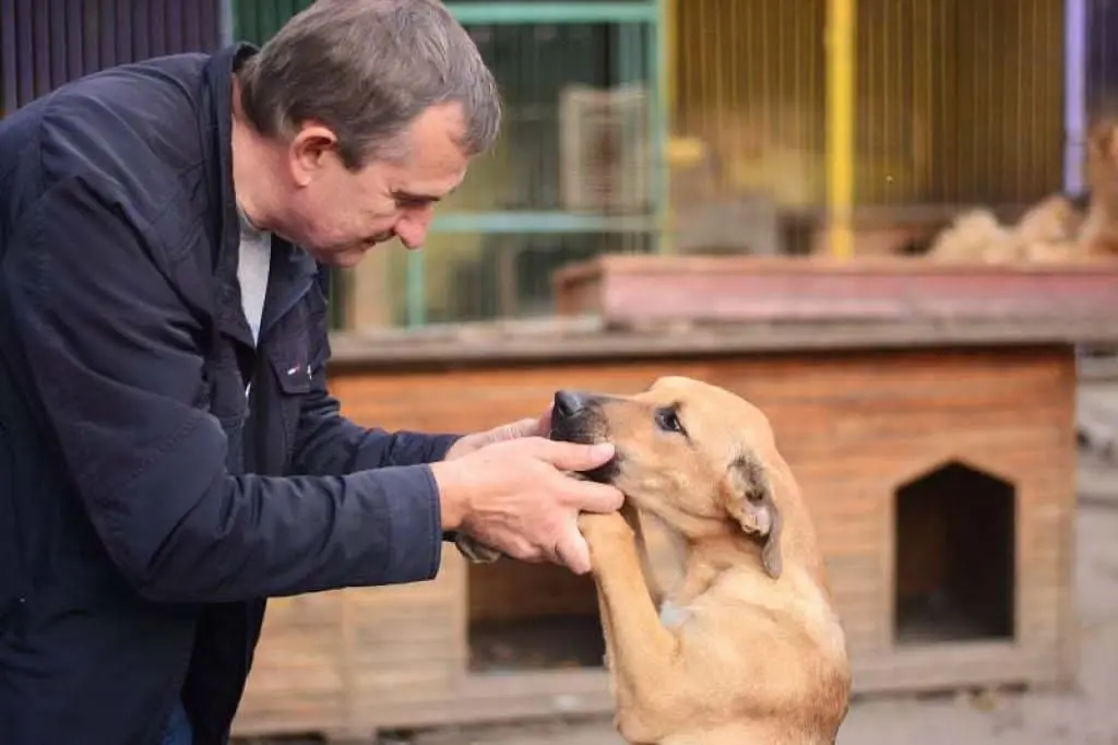 Юрий Сивокозов, ветеринар