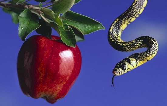 Ева, яблоко и змей