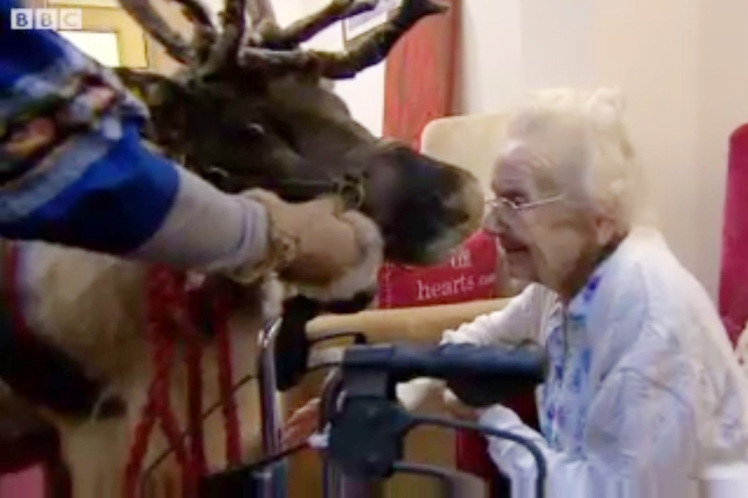 Один из оленей Санта Клауса навестил пожилых в доме престарелых