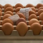Цены на яйца