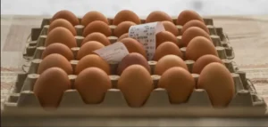 Цены на яйца