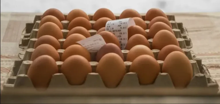 Цены на яйца