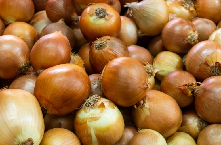 лук