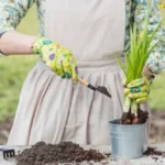 дача у квітні