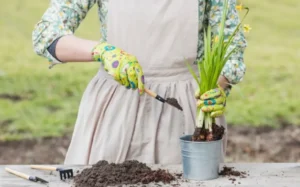 дача в апреле