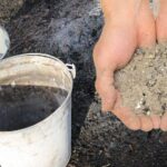 древесный пепел