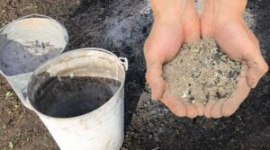 древесный пепел