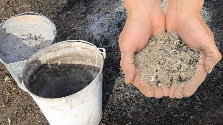 древесный пепел