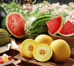 Дыня и арбуз