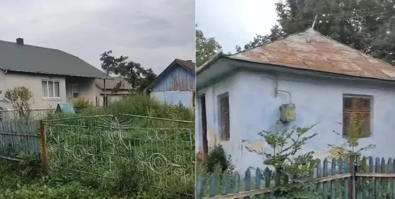 Дом в селе