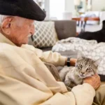 старик с кошкой